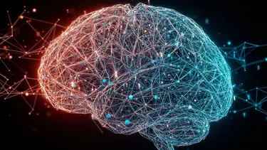 Cómo cuidar tu salud cerebral: las mejores 5 recomendaciones y por qué prestarle atención