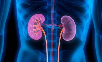 Alerta por enfermedad renal: 1 de cada 8 la tiene y no lo sabe | Salud