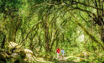 Es un paraíso "escondido": la pequeña selva para hacer una escapada en familia | Escapadas