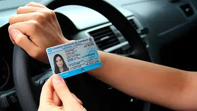 Licencia de Conducir Licencia de Conducir