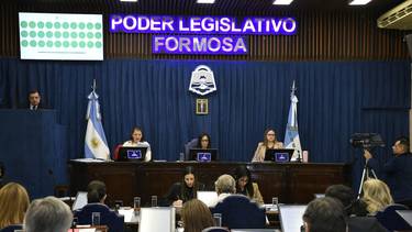 Desarrollo económico, regulación de tierras y acceso a alimentos: cómo avanza la reforma constitucional de Formosa