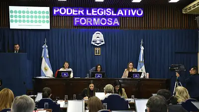 Desarrollo económico, regulación de tierras y acceso a alimentos: cómo avanza la reforma constitucional de Formosa Desarrollo económico, regulación de tierras y acceso a alimentos: cómo avanza la reforma constitucional de Formosa