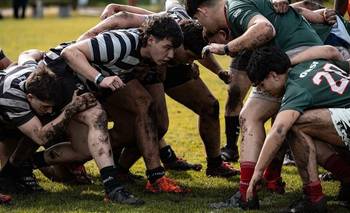Conmoción en el rugby: un jugador convulsionó en pleno partido y se suspendió | Rugby