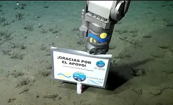 La expedición del Conicet al cañón submarino Mar del Plata halló 57 especies nuevas | Conicet