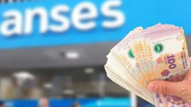 ANSES en agosto: ¿Vas a cobrar $321.000? Requisitos, fechas y cómo acceder
