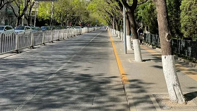 Para qué pintan de blanco los árboles. Para qué pintan de blanco los árboles.