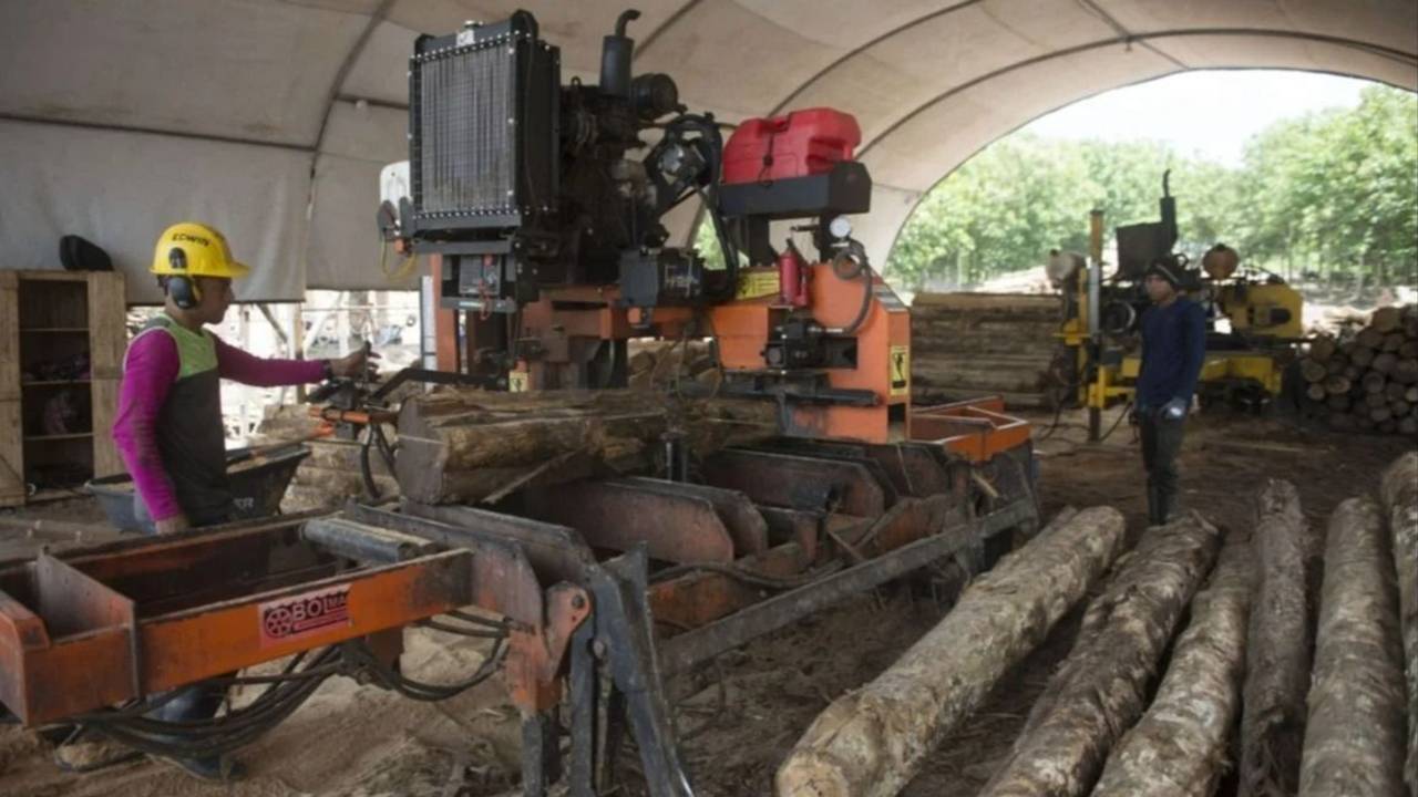 El industricidio de Milei llegó a la madera entrerriana: consumo planchado, aserraderos fundidos y despidos 