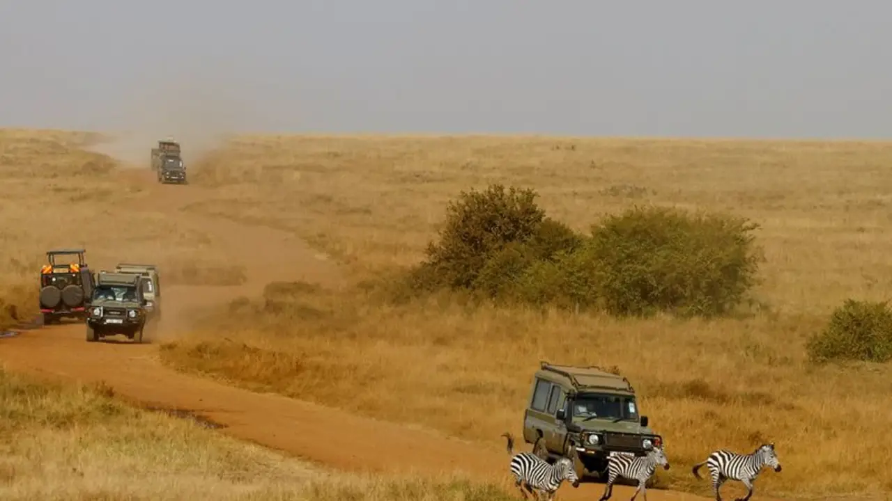 Activista intenta bloquear apertura de nuevo 'lodge' para safari del Ritz-Carlton en reserva de Kenia
