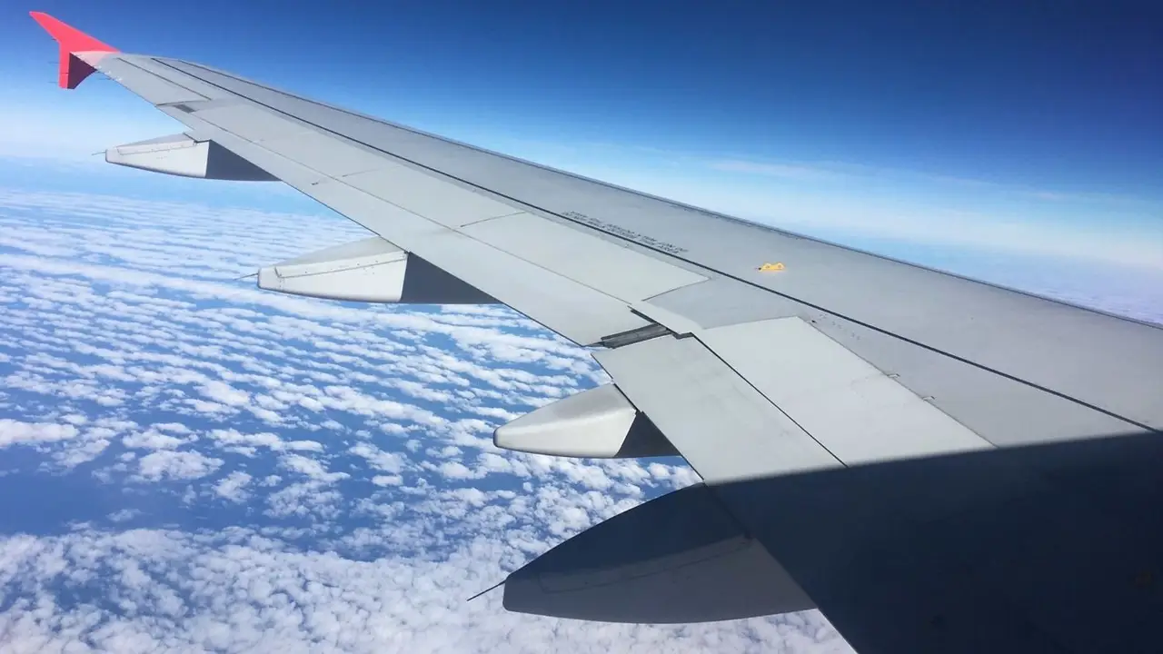 Vuelo