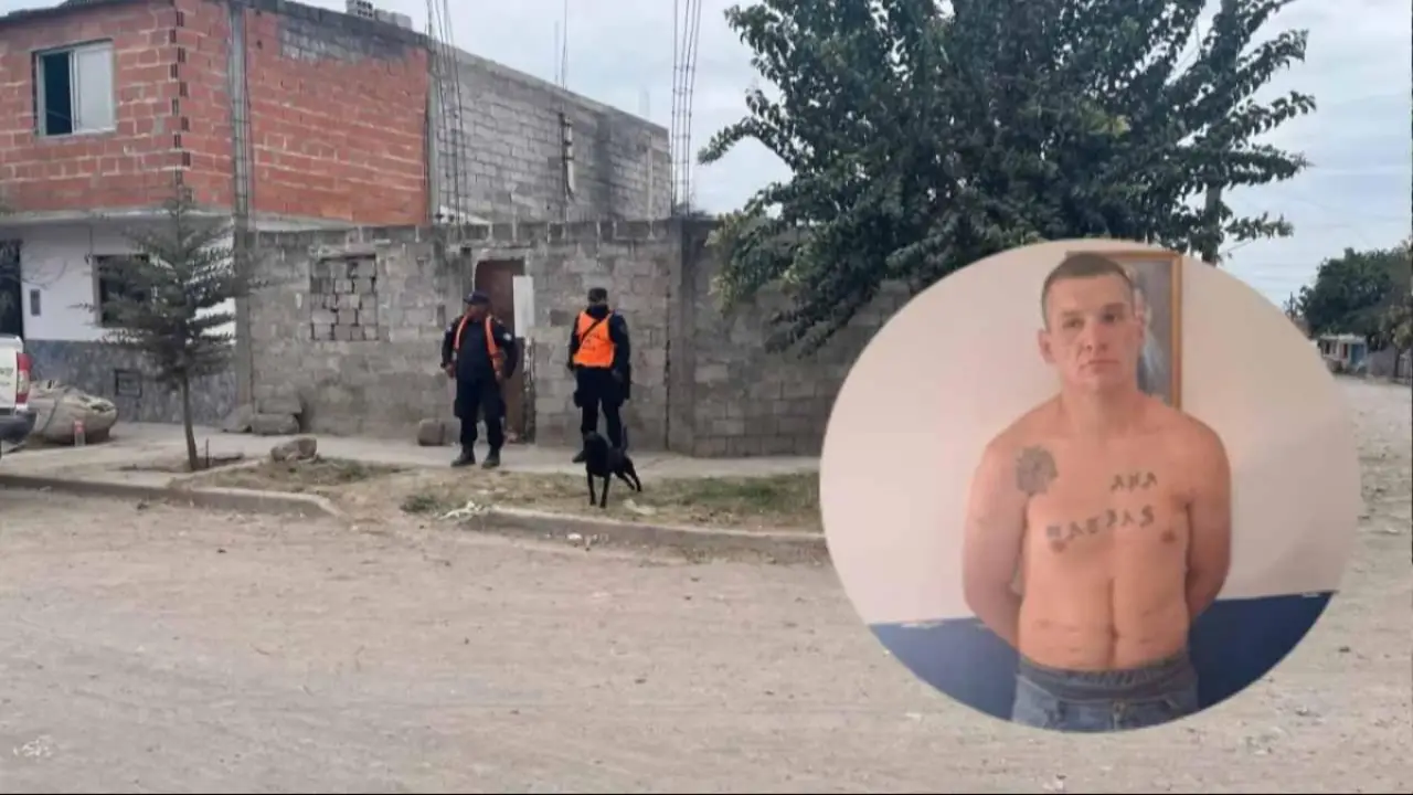 Perros, georadar y pericias psiquiátricas: así avanza la investigación contra el "asesino serial de los viernes”