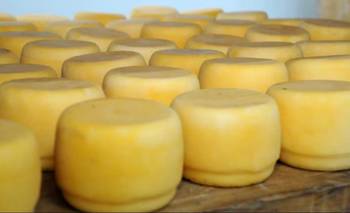 Queso contaminado: crecen los casos de personas afectadas por el brote de listeriosis | Salud