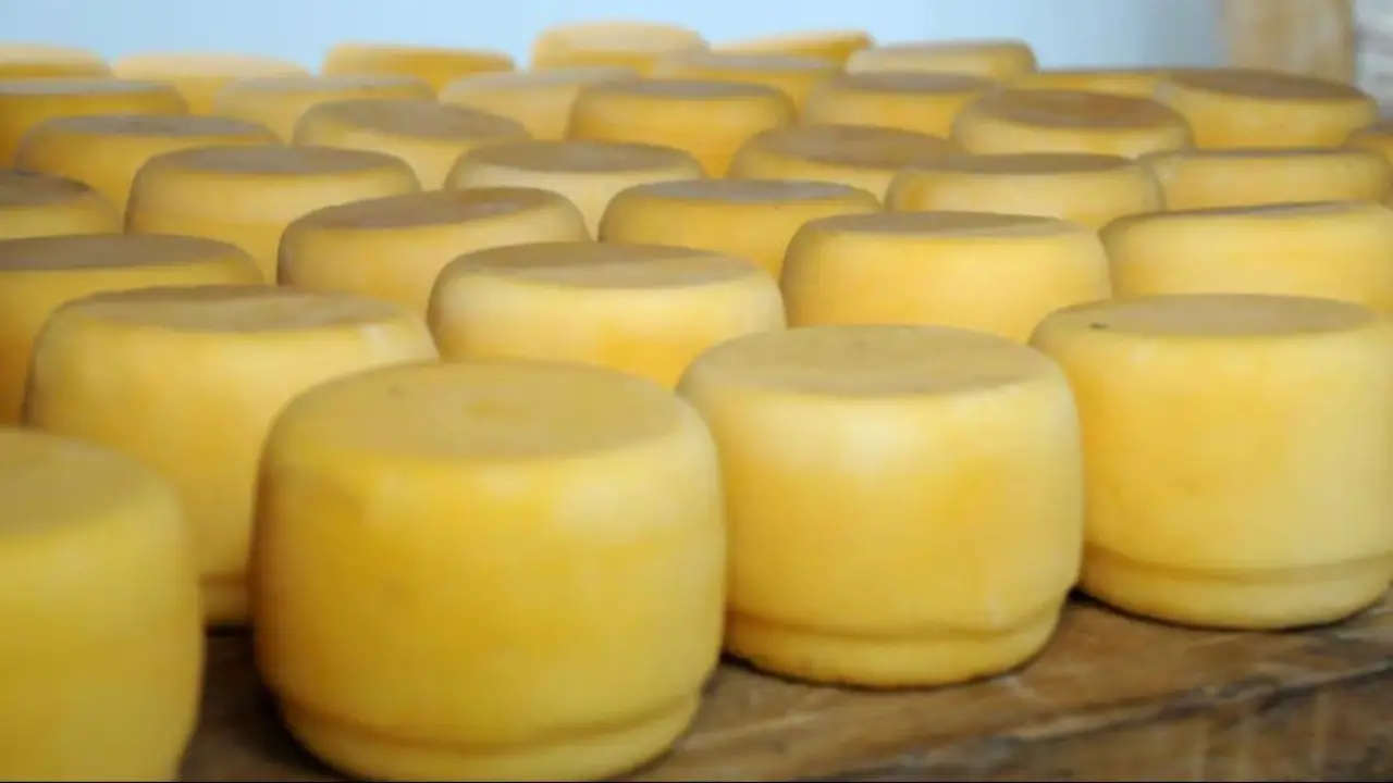 Alerta por un queso contaminado: crecen los casos de personas afectadas por el brote de listeriosis