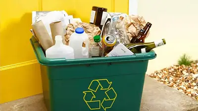 Tesoro basura Tesoro basura