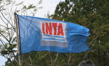 Eliminan por decreto la dirección nacional del INTA, cargo al que se accedía por concurso | Cientificidio