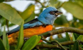 Se pueden ver más de 350 especies de aves: el parque nacional que es una joya | Escapadas