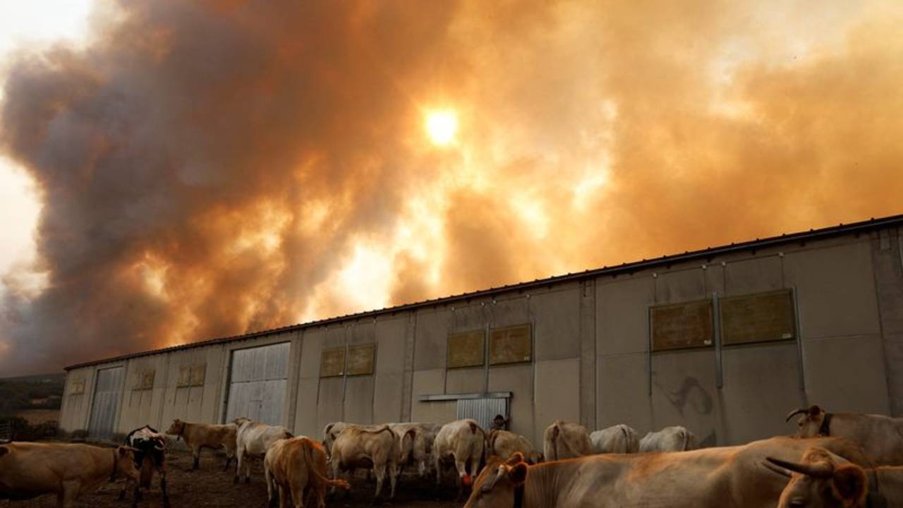 España combate 14 grandes incendios y se espera que las condiciones "desfavorables" aviven otros