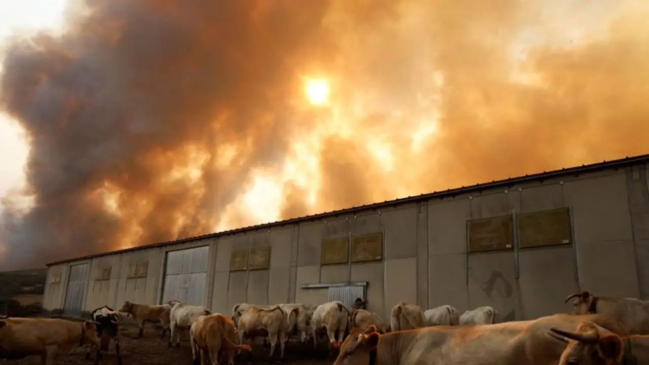 España combate 14 grandes incendios y se espera que las condiciones "desfavorables" aviven otros