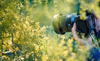 La naturaleza se hace arte: comienza el Encuentro Regional de Fotógrafos | Formosa