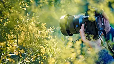 Entre luces y sombras, la naturaleza posa para el arte: comienza el Encuentro Regional de Fotógrafos Entre luces y sombras, la naturaleza posa para el arte: comienza el Encuentro Regional de Fotógrafos