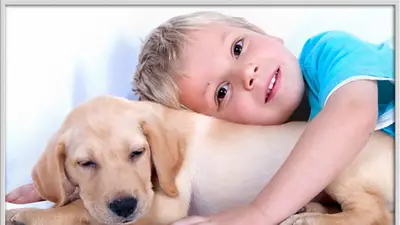 Un perro con un niño Un perro con un niño