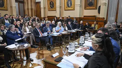 La emergencia en pedriatría y el financiamiento universitario ya pueden entrar al Senado La emergencia en pedriatría y el financiamiento universitario ya pueden entrar al Senado