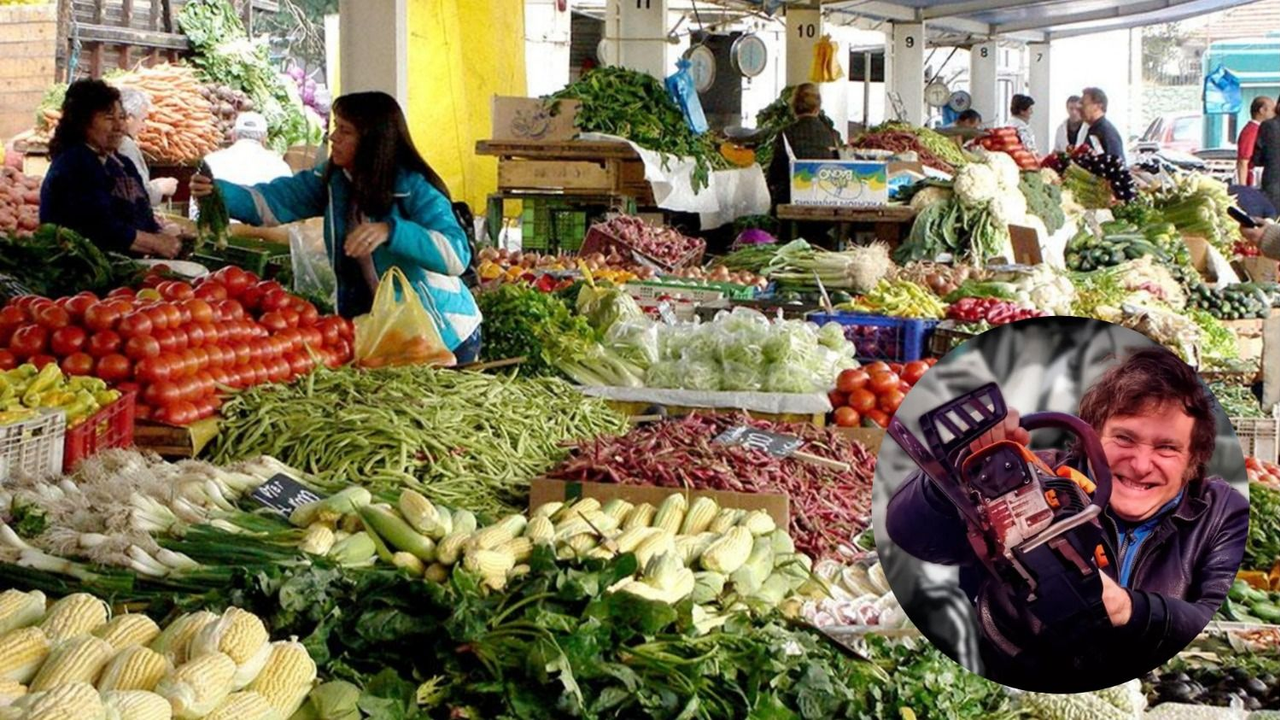Con críticas al DNU de Milei, Formosa rechazó la desregulación alimentaria y advirtió sobre su riesgo en la salud pública