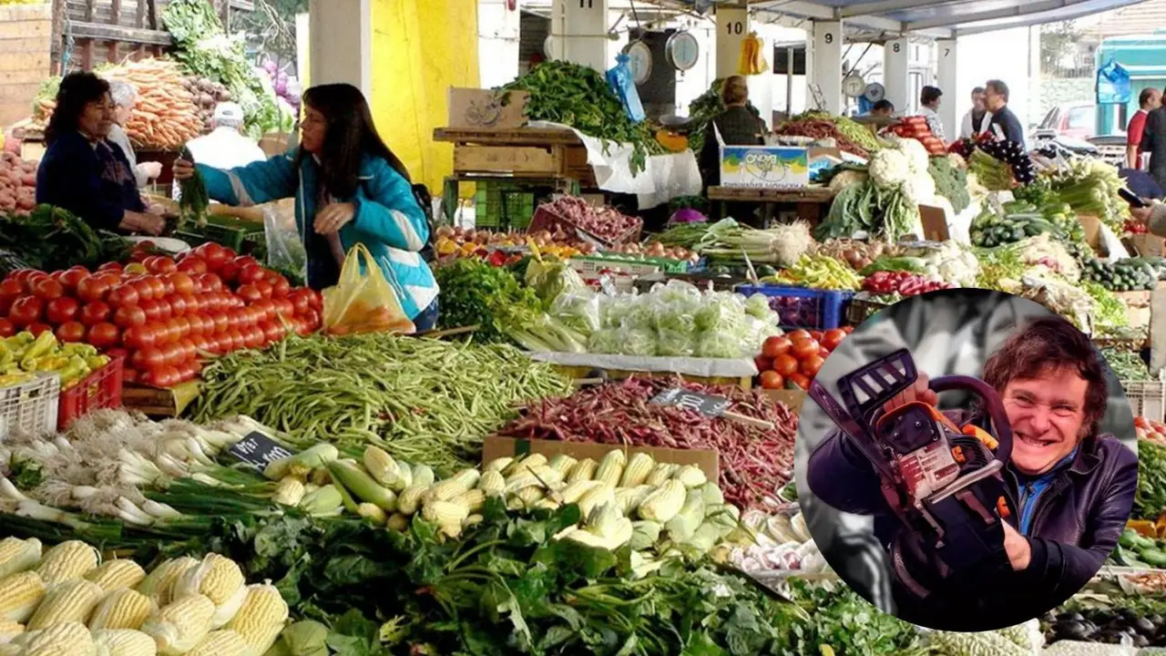 Con críticas al DNU de Milei, Formosa rechazó la desregulación alimentaria y advirtió sobre su riesgo en la salud pública