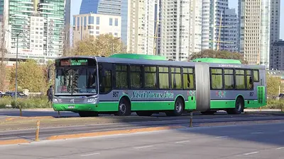 Colectivo Colectivo