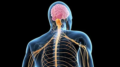 La neuróloga Ana Belén Caminero dio a conocer que cada vez hay más casos de esclerosis múltiple en jóvenes. Síntomas de esclerosis múltiple La neuróloga Ana Belén Caminero dio a conocer que cada vez hay más casos de esclerosis múltiple en jóvenes. Síntomas de esclerosis múltiple