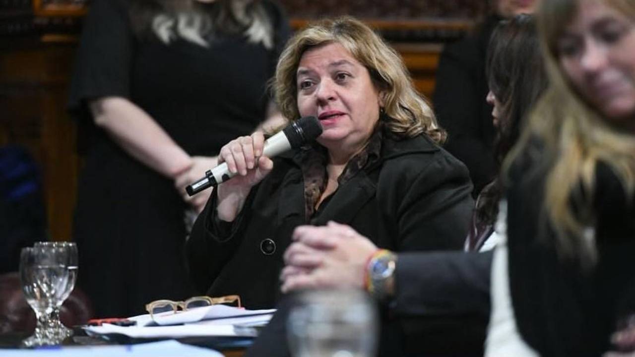 "Sistema de destrucción": alertaron al Senado por el deterioro de las rutas nacionales en Formosa