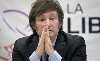 Los varones jóvenes se alejan de Milei: es la economía, estúpido | Elecciones 2025