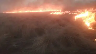Alerta extrema: dos incendios forestales avanzan sin freno en Córdoba Alerta extrema: dos incendios forestales avanzan sin freno en Córdoba