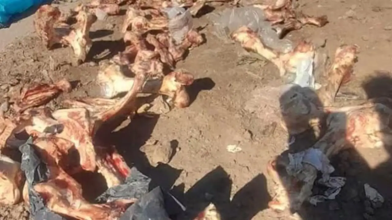 Los restos de carne, huesos y basura arrojados en la calle. 