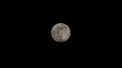 Luna Luna