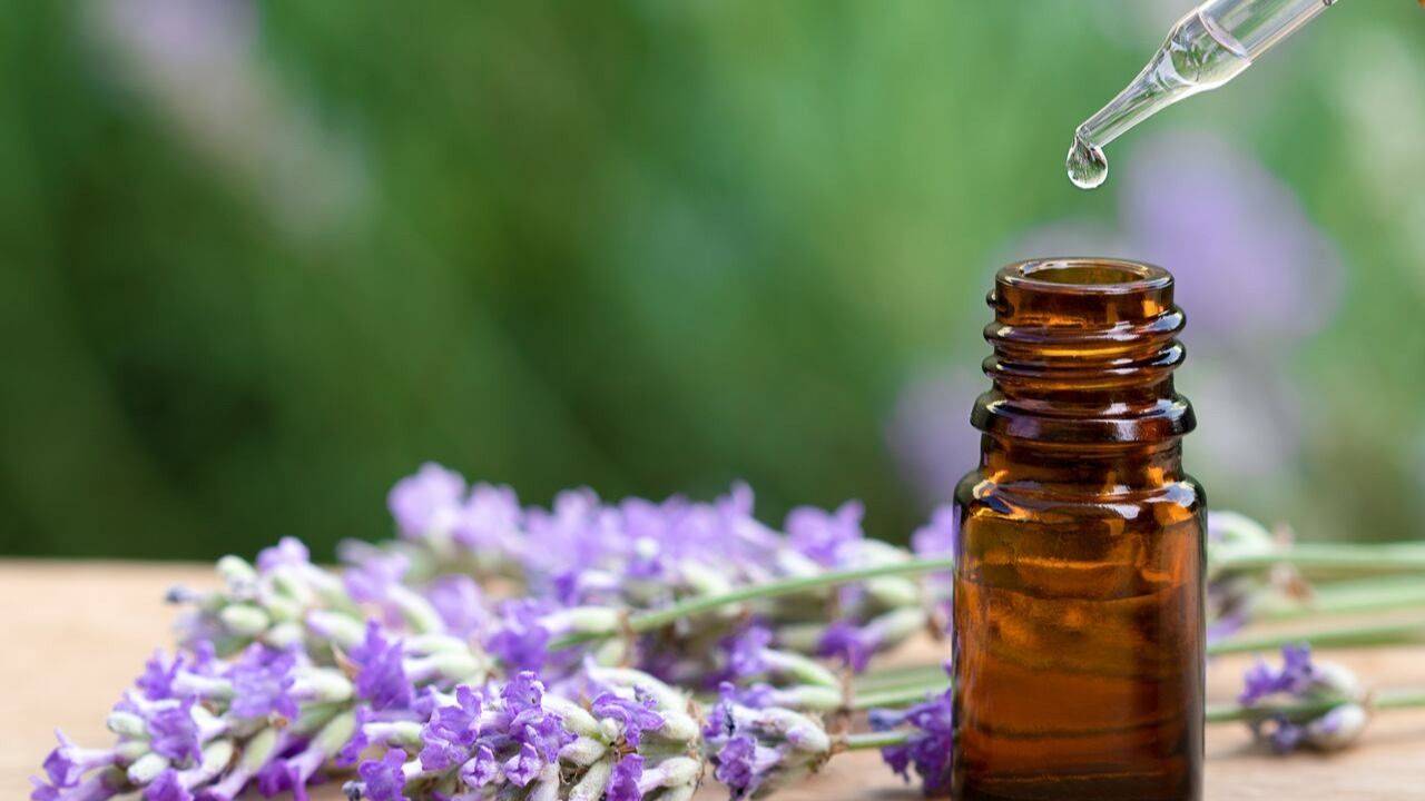 Cuál es la tendencia que llegó a reemplazar a los sahumerios. Cómo usar difusores eléctricos para aromatizar el hogar.