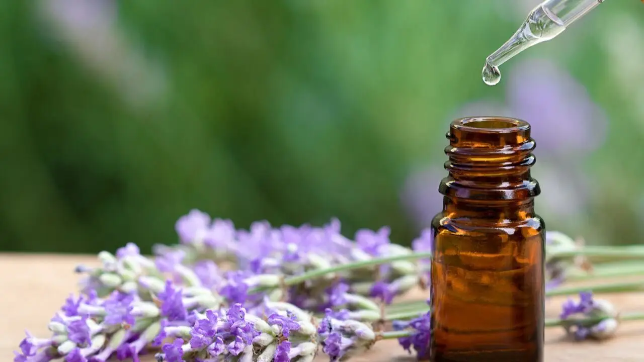 Cuál es la tendencia que llegó a reemplazar a los sahumerios. Cómo usar difusores eléctricos para aromatizar el hogar.