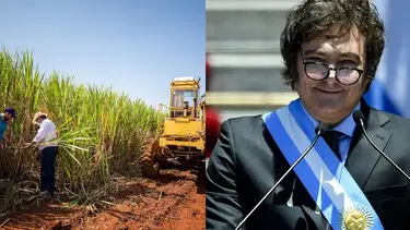 Crisis del sector azucarero: pequeños productores podrían dejar la actividad.