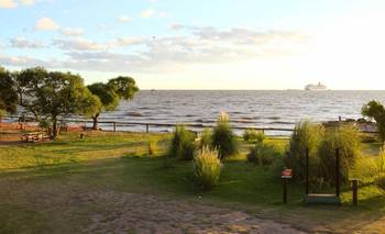 Qué hay para hacer en la Reserva Ecológica Costanera Sur | Escapadas