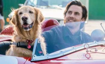 Los fans de Marley y yo la amarán y es la película más vista de Netflix | Cine