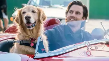 Dura 2 horas, los fanáticos de Marley y yo la amarán y es la película más vista de Netflix
