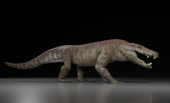 Hallan un sorprendente ancestro de los cocodrilos de hace 70 millones de años | Ciencia 