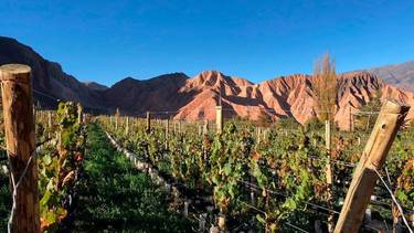 La ruta del vino entre las nubes: las mejores bodegas para hacer una escapada
