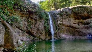Ni Jujuy, ni Misiones: el pueblo con una selva de película para una escapada