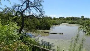 Escapada para conectar con la naturaleza a 40 minutos de CABA: la reserva que lo tiene todo