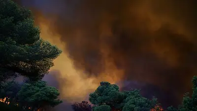 Incendios forestales avanzan en Grecia, bomberos luchan contra las llamas en Francia y España Incendios forestales avanzan en Grecia, bomberos luchan contra las llamas en Francia y España