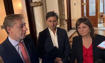 La UCR le suelta la mano a Milei y busca frenar la reforma de la Ley de Tierras | Ley de tierras