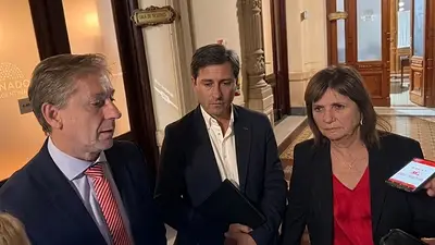 UCR, Unión Cívica Radical, Ley de Tierras, Javier Milei, La Libertad Avanza, Senado. UCR, Unión Cívica Radical, Ley de Tierras, Javier Milei, La Libertad Avanza, Senado.