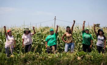 Ley de Tierras: pequeños agricultores alertan que puede destruir la soberanía alimentaria | Ley de tierras