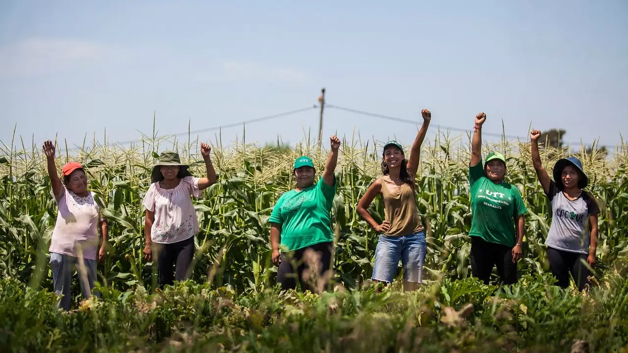 Ley de Tierras: pequeños agricultores alertan que puede destruir la soberanía alimentaria
