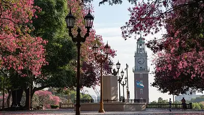 La plaza porteña donde duermen gomeros de más de un siglo y una palmera "presidencial" La plaza porteña donde duermen gomeros de más de un siglo y una palmera "presidencial"